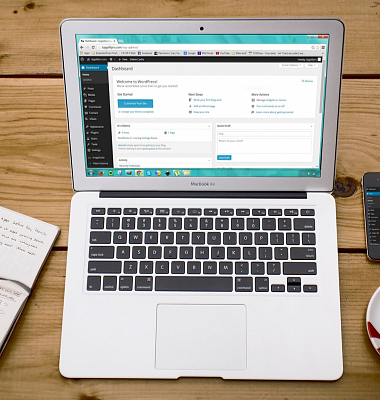 WordPress programuotojas ir programavimas